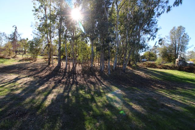 17125 Zanita Trail, Anderson, CA 96007