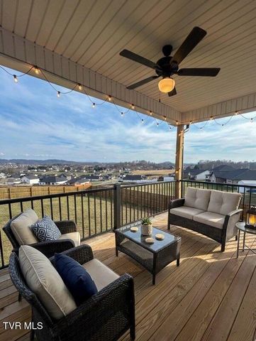 162 Bob Ford Road, Jonesborough, TN 37659