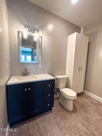 162 Bob Ford Road, Jonesborough, TN 37659