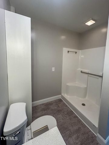 162 Bob Ford Road, Jonesborough, TN 37659