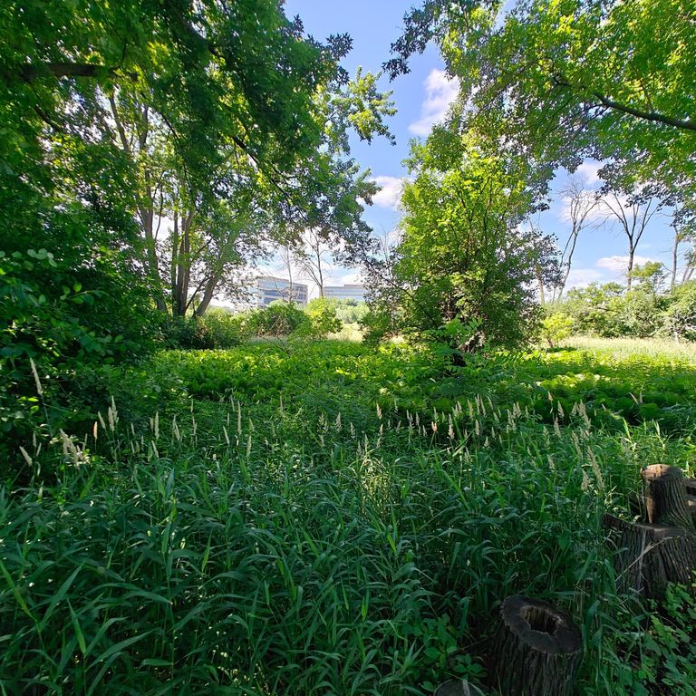 18 Westwood Circle, Hopkins, MN 55305 — exterior