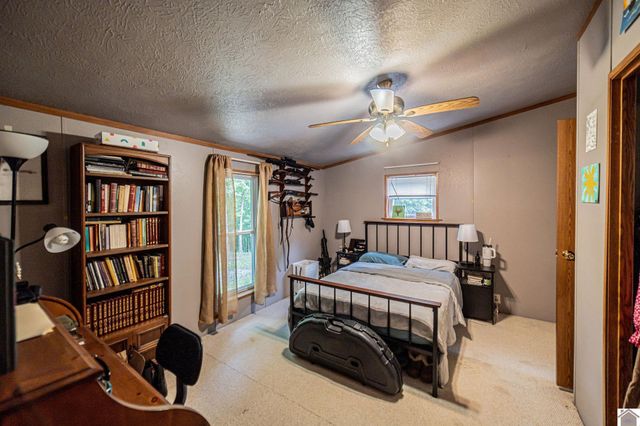 289 Axel Creek Road, Marion, KY 42064