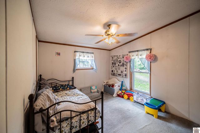 289 Axel Creek Road, Marion, KY 42064