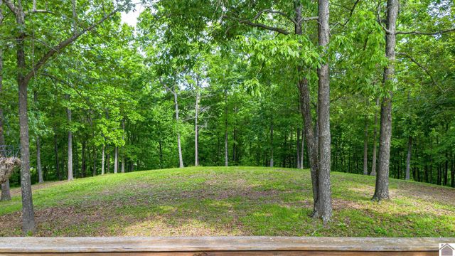 289 Axel Creek Road, Marion, KY 42064