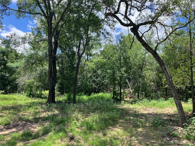 693 Saint Mary's RD, Rosanky, TX 78953