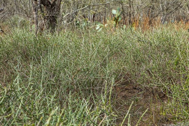 8684 Mineral Cemetery Rd, Beeville, TX 78102