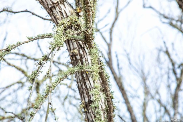 8684 Mineral Cemetery Rd, Beeville, TX 78102