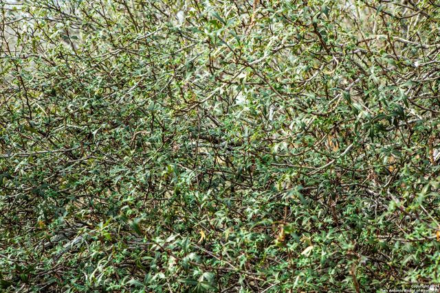 8684 Mineral Cemetery Rd, Beeville, TX 78102