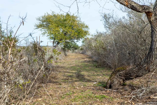 8684 Mineral Cemetery Rd, Beeville, TX 78102