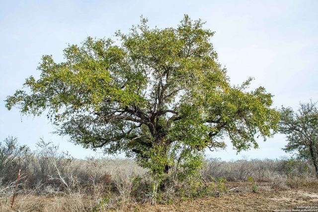 8684 Mineral Cemetery Rd, Beeville, TX 78102