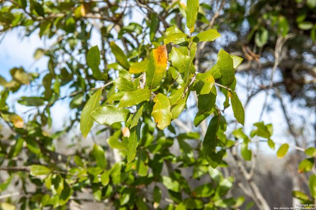 8684 Mineral Cemetery Rd, Beeville, TX 78102