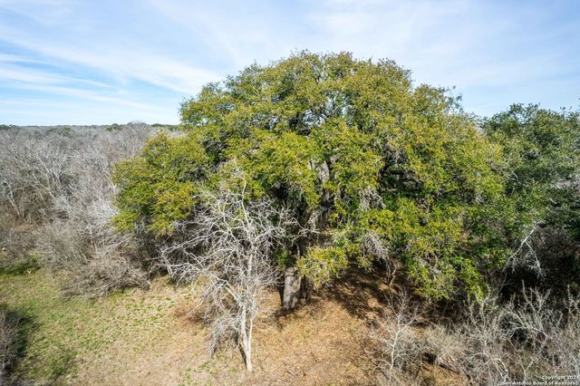 8684 Mineral Cemetery Rd, Beeville, TX 78102