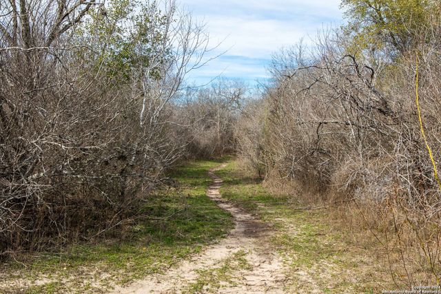 8684 Mineral Cemetery Rd, Beeville, TX 78102