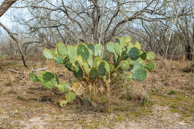 8684 Mineral Cemetery Rd, Beeville, TX 78102