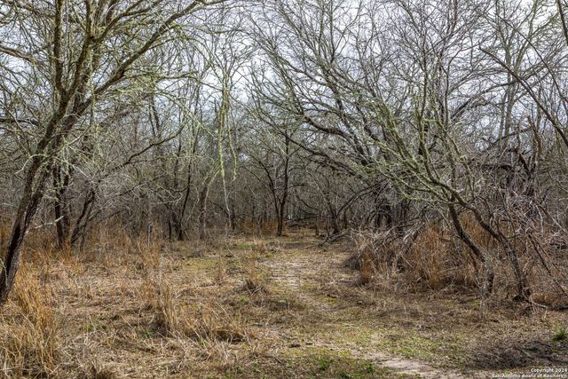 8684 Mineral Cemetery Rd, Beeville, TX 78102