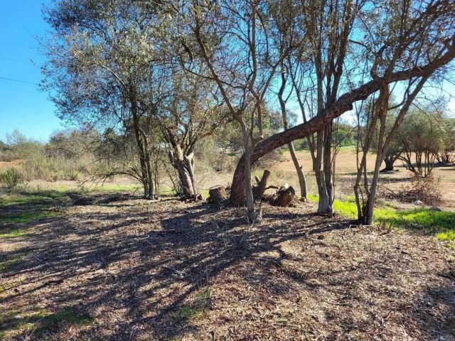 616 Alpine Heights-20acres, Alpine, CA 91901