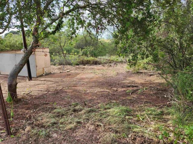 616 Alpine Heights-20acres, Alpine, CA 91901