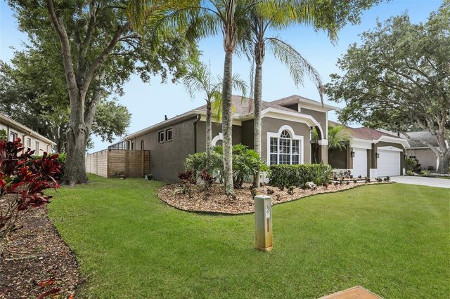 15720 BEREA DRIVE, Odessa, FL 33556