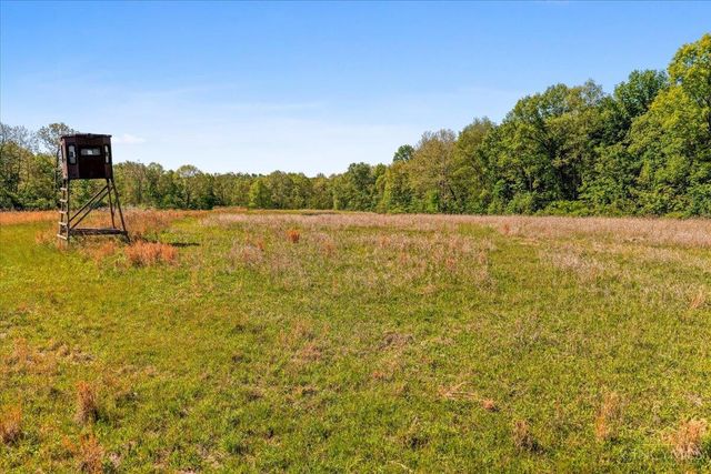 8598 W Deadfall Road, Washington Twp, OH 45133