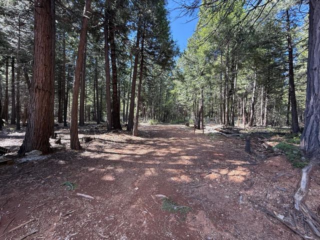 14940 Chalk Bluff Rd, Nevada City, CA 95959