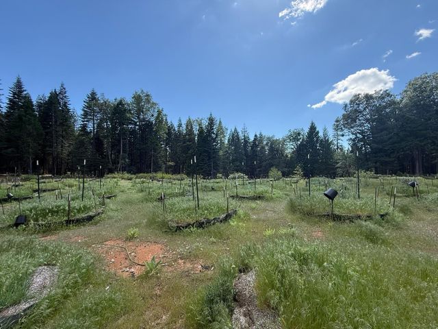 14940 Chalk Bluff Rd, Nevada City, CA 95959