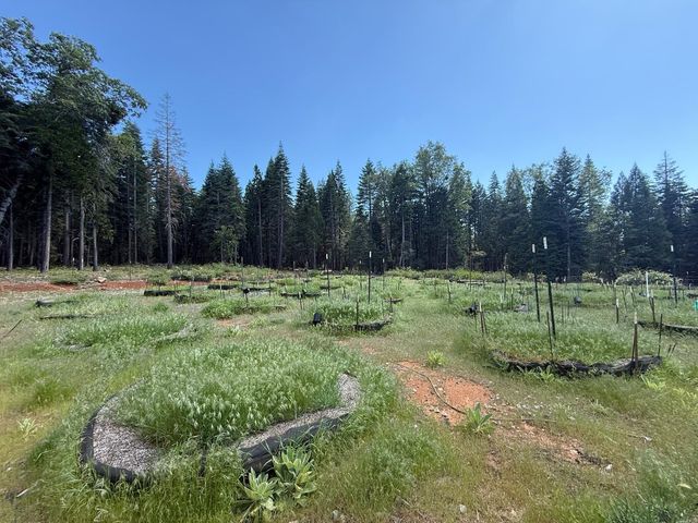 14940 Chalk Bluff Rd, Nevada City, CA 95959