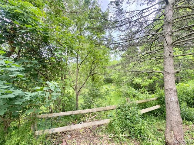 3727 Route 39, Collins, NY 14034