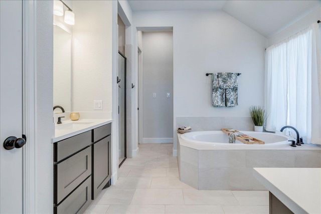 186 Prickly Poppy LOOP, Kyle, TX 78640