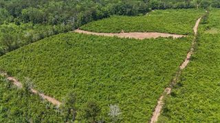 TBD Mcclain Road, Liberty, MS 39645
