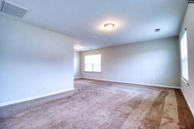 1425 Tamarind Lane, Chapin, SC 29036