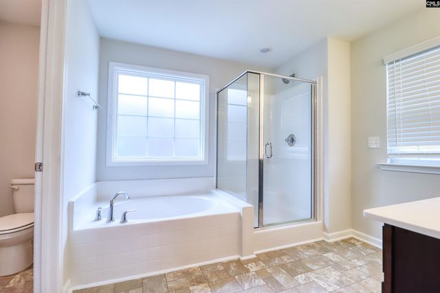 1425 Tamarind Lane, Chapin, SC 29036