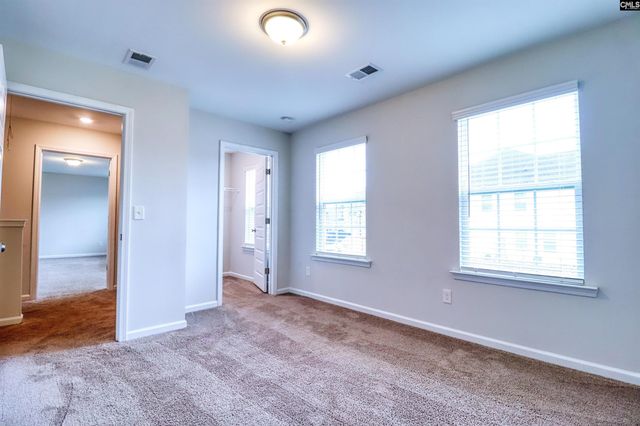 1425 Tamarind Lane, Chapin, SC 29036