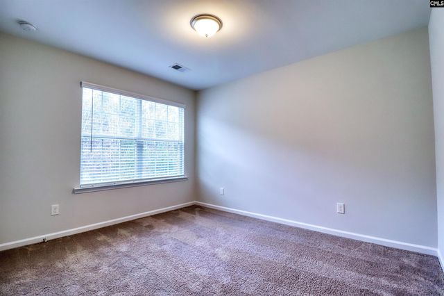 1425 Tamarind Lane, Chapin, SC 29036