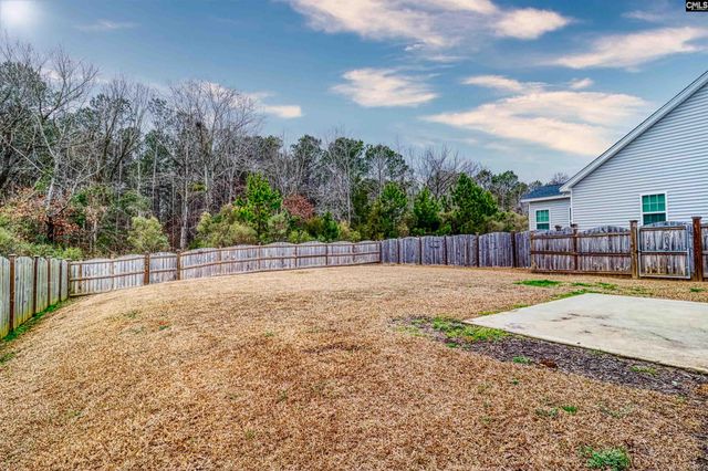 1425 Tamarind Lane, Chapin, SC 29036