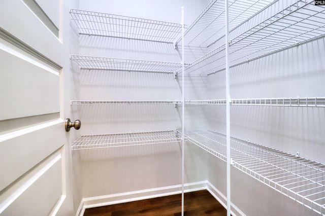 1425 Tamarind Lane, Chapin, SC 29036