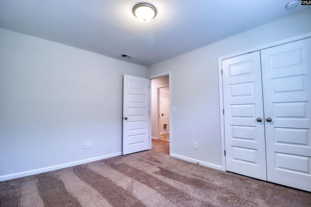 1425 Tamarind Lane, Chapin, SC 29036