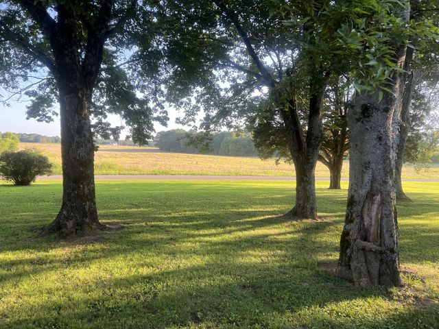 566 Clarence Finney Rd, Hillsboro, TN 37342