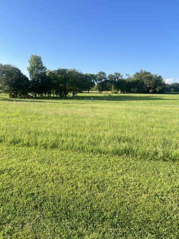 566 Clarence Finney Rd, Hillsboro, TN 37342