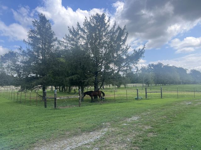 566 Clarence Finney Rd, Hillsboro, TN 37342