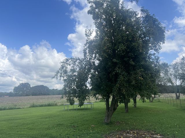 566 Clarence Finney Rd, Hillsboro, TN 37342