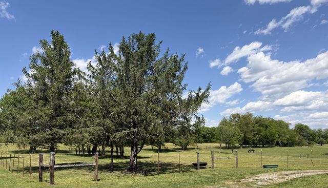 566 Clarence Finney Rd, Hillsboro, TN 37342