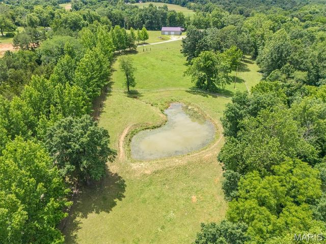 21924 Trogden Road, Farmington, MO 63640