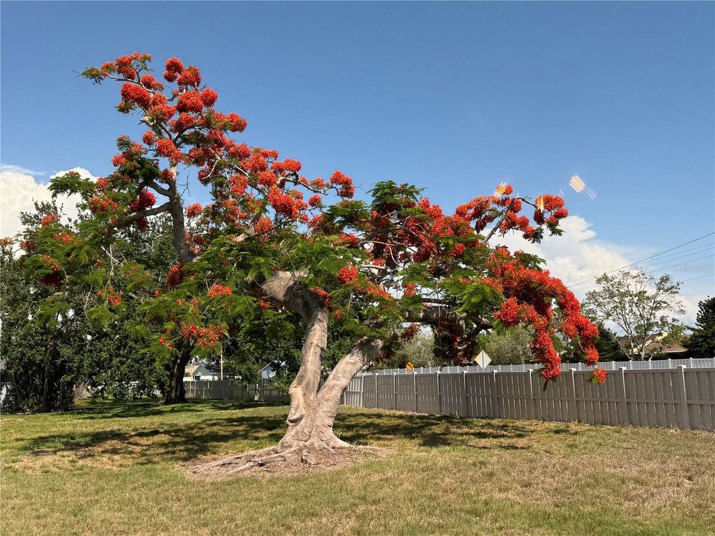 Image 51 of property listing at 3813 42ND STREET W 37, Bradenton, FL 34205