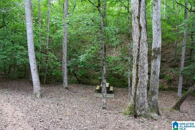 18282 HIGHWAY 431, Wedowee, AL 36278