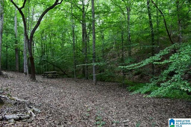 18282 HIGHWAY 431, Wedowee, AL 36278