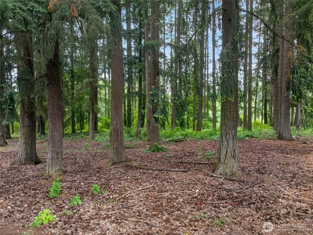 10320 James Road SW, Rochester, WA 98579