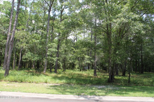 469 Shiloh Lane SE, Bolivia, NC 28422