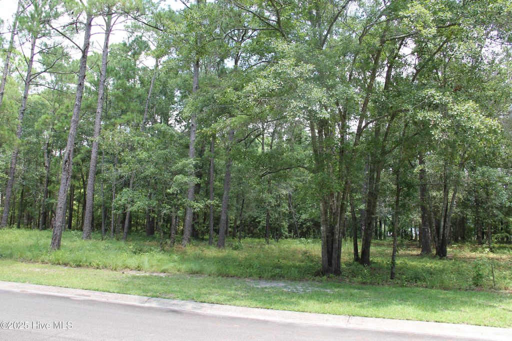 469 Shiloh Lane SE, Bolivia, NC 28422
