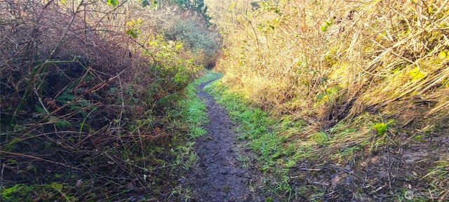 804 Cameron Road, Sequim, WA 98382