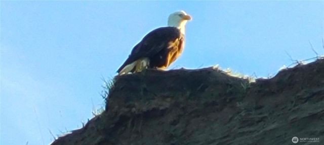 804 Cameron Road, Sequim, WA 98382